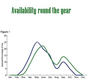 Availability round the year